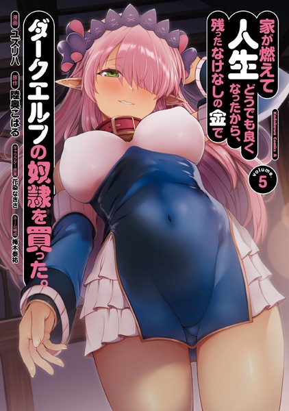 家が燃えて人生どうでも良くなったから、残ったなけなしの金でダークエルフの奴隷を買った。