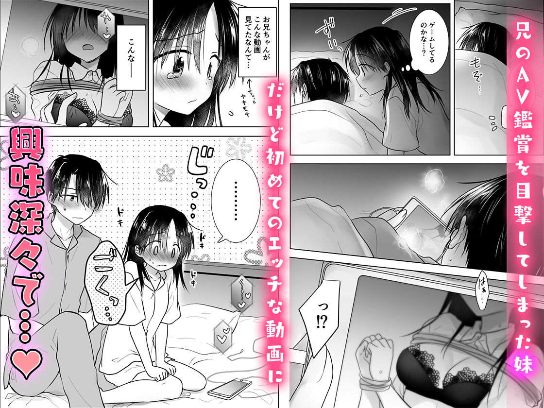 サンプル画像1