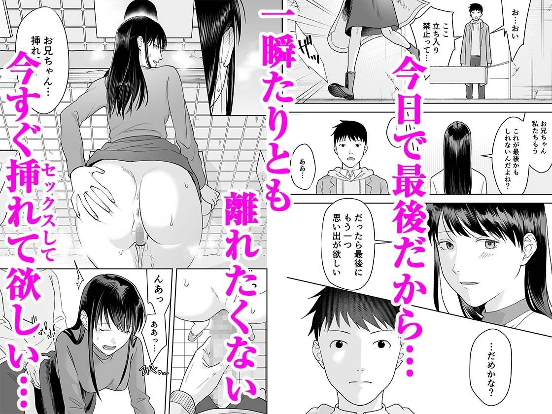 サンプル画像4