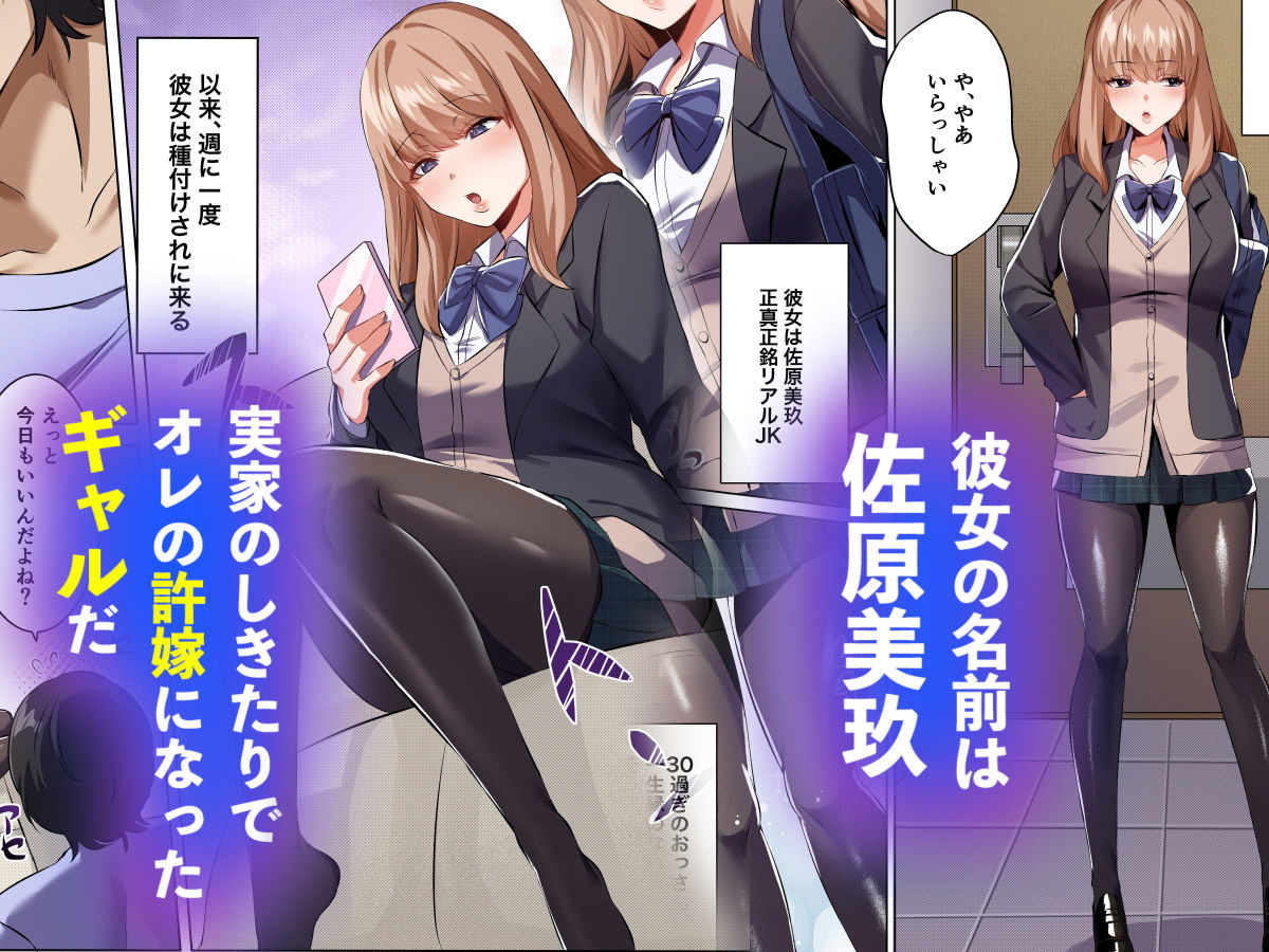 サンプル画像1