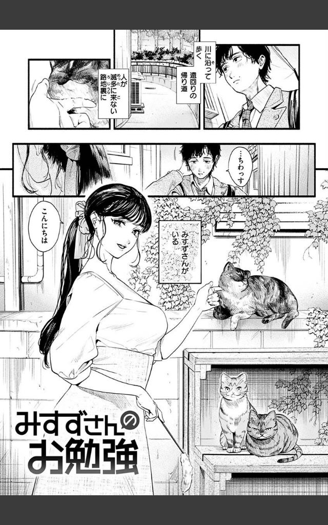 サンプルページ2